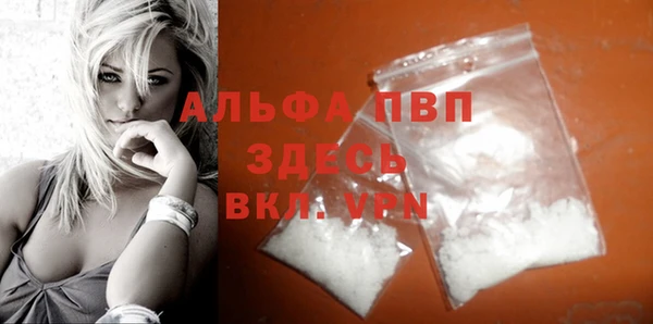 прущие грибы Покров