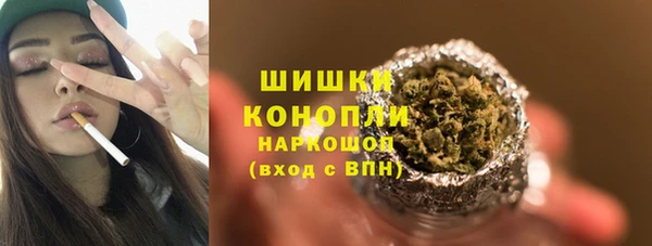 дмт Пересвет