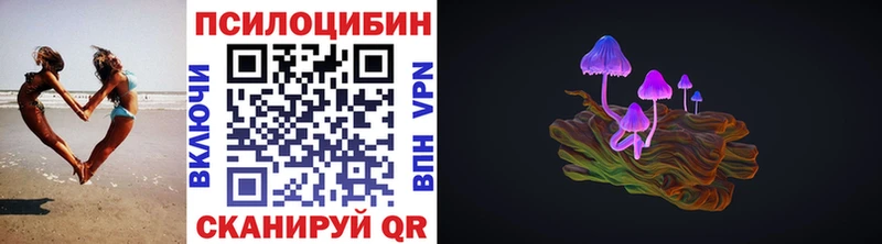 Псилоцибиновые грибы мицелий где купить наркотик Нытва